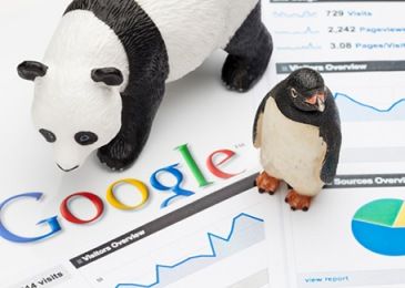 google-panda-en-google-penguin-update