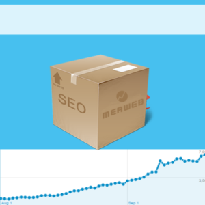 seo-pakket